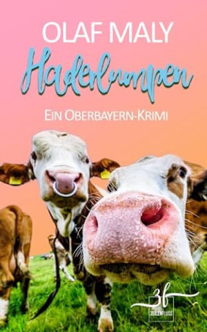 Cover: Maly, Olaf - Haderlumpen