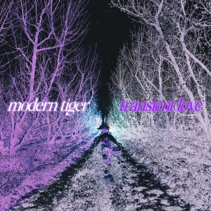 Modern Tiger - Transient Love (EP) (2026)