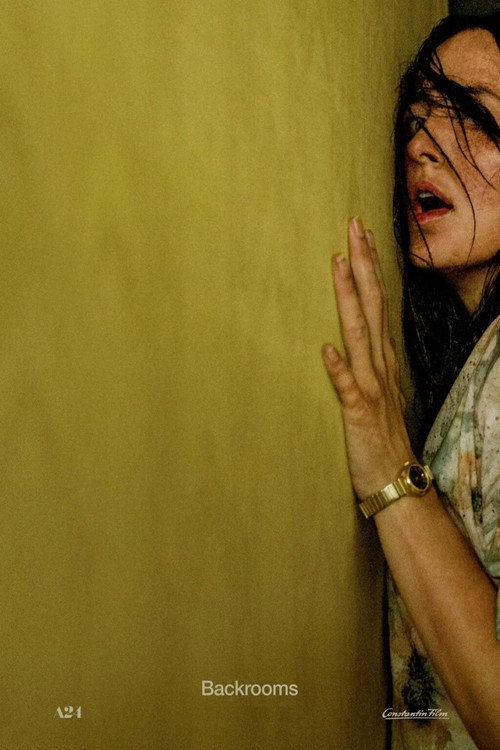 Backrooms.2026.German.5.1.LD.DL.1080p.WEB.h264-LiNEUP
