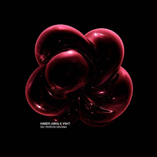 Haber & Vsht — Sic Parvis Magna (2026)