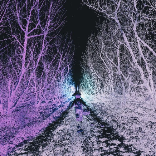 Modern Tiger - Transient Love [EP] (2026)