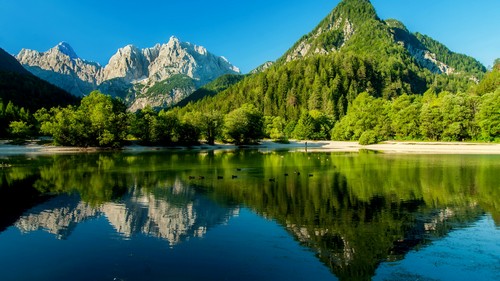 Best Wallpapers Mix Collection 97