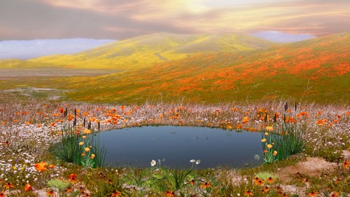 Best Wallpapers Mix Collection 97