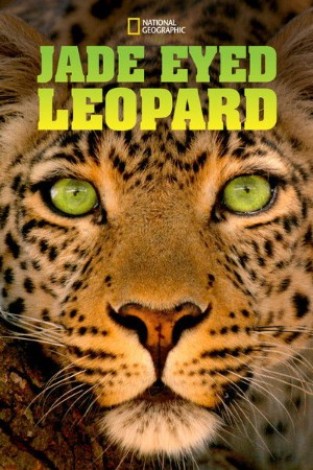 6a1fb7bfc1daead5cfef6fcc31101ca9 - Jade Eyed Leopard (2020) 1080p DSNP WEB-DL DDP5 1 H 264-NTb