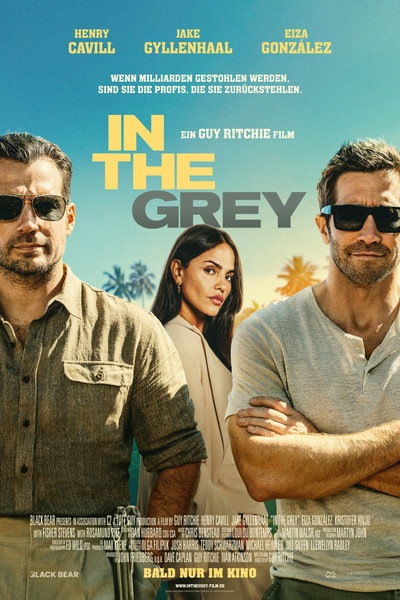In the Grey 2026 GERMAN DL 1080p WEB H265-LDO