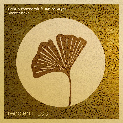 Orkun Bozdemir & Adios Ayer — Shake Shake (2026)