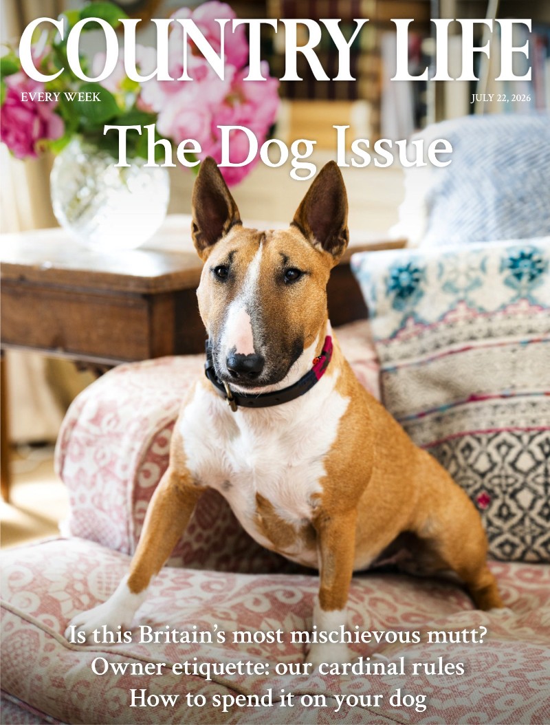 Country Life UK - July 22, 2026