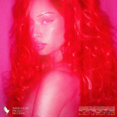 LOVEFOXY — Lord Juice Remixes (2026)