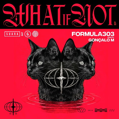 formula303 — What If Not (2026)