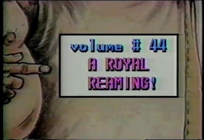 Amateur Home Videos 44