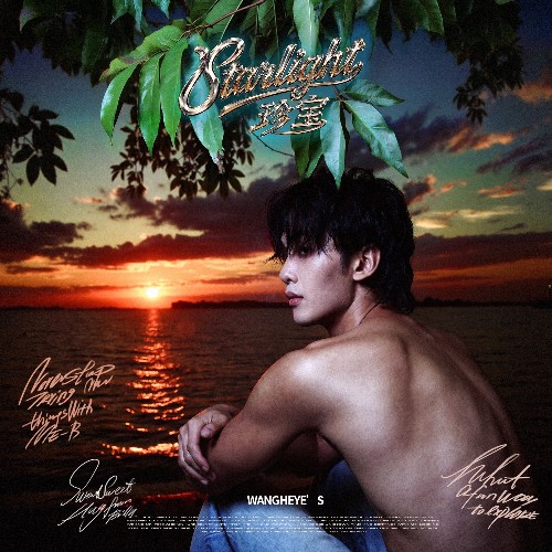 Wang Heye — Starlight (2026)
