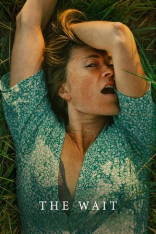 02cec39a49945f8dbe9b52a4324d4354 - The Wait (2021) 1080p NF WEB-DL DDP5 1 x264-PTerWEB