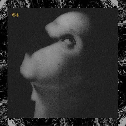 Viscera/// — 4. ⁠Assets For Psychedelic Warfare (2026)