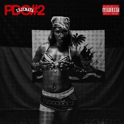  13Jenaya - PDG #2 (2026) 