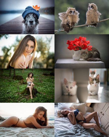 Wallpapers Mix №2040