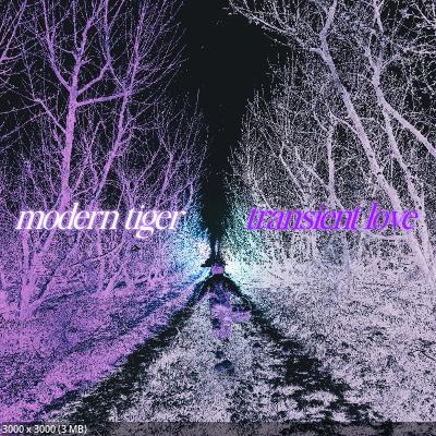 Modern Tiger - Transient Love (EP) (2026)