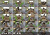 TranSexPOV - Wreck This Ass (FullHD/1080p/1.66 GB)