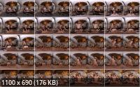 NaughtyAmericaVR - Vanessa Vox: Naughty Office (2K/1080p/3.45 GB)