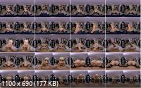 SexBabesVR - Goddess With Stockings Tiffany Tatum (SD/960p/3.34 GB)