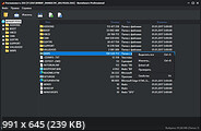 BurnAware Professional / Premium 19.2 + Portable [Multi/Rus]