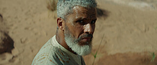 ���������� ������� / Desert Warrior (2025/BDRip/HDRip)
